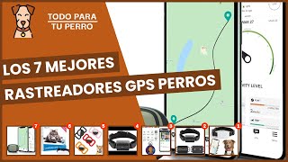 Los 7 mejores rastreadores gps perros [upl. by Netfa]