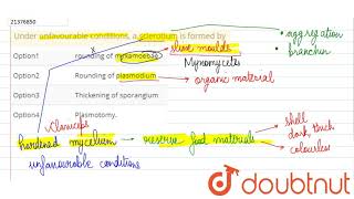 Under unfavourable conditions a sclerotium is formed by [upl. by Goth]