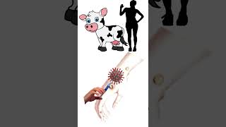 Legend of Vaccine  First vaccine  Edward Jenner vaccine covid19 smallpox shorts [upl. by Balbur]