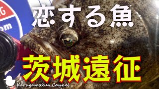 【カヤック】仲間とワイワイカヤックフィッシングin茨城【シーバス】 [upl. by Adnoel785]