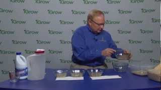 Testing Soybean Seed Quality with a Clorox Soak [upl. by Tingley65]