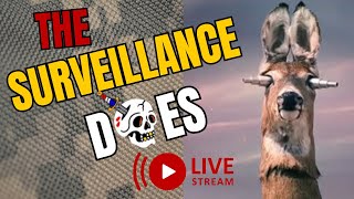 Surveillance Does Helga Mann  LIVE StreamSnipe Roasts Comedy [upl. by Hsetirp]