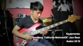 Sandberg quotCalifornia MarloweDKquot Bass Demo [upl. by Cook]