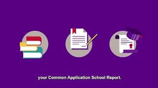 The Common Application for NYU Explained 2024 [upl. by Elatan235]