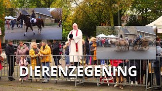 DIERENZEGENING MET JACHTHOORNBLAZERS LA GARENNE SCHOTEN [upl. by Vani]