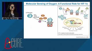 Young Investigator Award Lija Swain PhD  Tufts Medical Center [upl. by Koch]