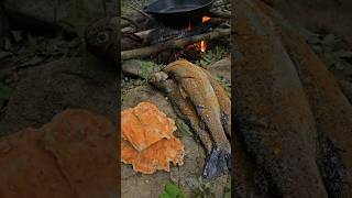 Trout Catch amp Cook and Chicken of the Woods with Doug [upl. by Liederman]