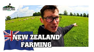 AM I NOW A NEW ZEALAND FARMER PADDOCK GRAZING [upl. by Dusza]