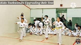 TAEKWONDO POOMSAE 3  TAEGUK SAM JANG  KIDS TAEKWONDO UPGRADING BELT TEST kids sports trending [upl. by Ennyl]