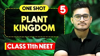 PLANT KINGDOM  Complete Chapter in One Video  ConceptsPYQs  Class 11th NEET [upl. by Atelokin]