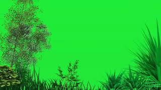 green screen trees blowing in the wind [upl. by Price880]