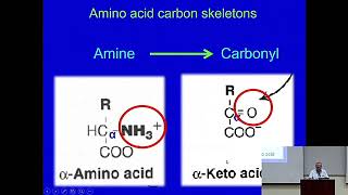 Catabolism of Amino Acids An Overview Metabolism Made Easy [upl. by Kristo]