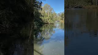 Middle reach of Jindalee Creek [upl. by Ahsad]