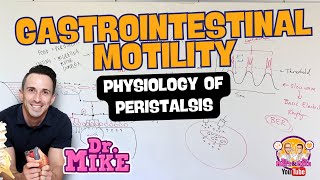 Motility of the Gastrointestinal Tract  Peristalsis Physiology [upl. by Bambie]