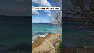 Jervis Bay Marine Park NSW Australia cuocsonguc sydneyadventure trekking nature beach [upl. by Oloapnaig]