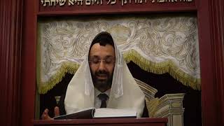 RAvner Yunayev Chok Lisrael Halachot Shabbat 92624 [upl. by Ennad]