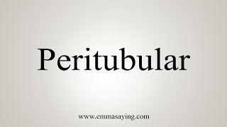 How To Say Peritubular [upl. by Gerladina]