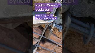 Padlocks on rock lock wall Townsville locksport padlock [upl. by Onra]