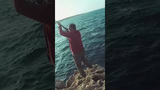 Small amberjack CampR giannisdazou9110  fishing viral fish cinematic india [upl. by Sarad]