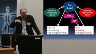 2013 quotBeating the Bloat the FODMAP diet amp IBSquot Central Clinical School public lecture [upl. by Anillehs]