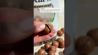 Inshell macadamia nuts [upl. by Smeaj]