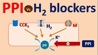 Proton pump inhibitors PPI vs H2 blockers [upl. by Livingston]