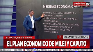 La nueva Argentina ¿cuáles son las medidas económicas de Milei y Caputo [upl. by Moazami]