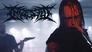 Ingested  Rebirth OFFICIAL VIDEO [upl. by Ayekat]