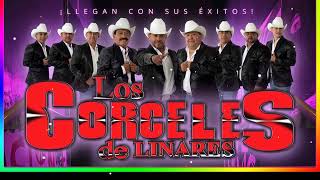 Los Corceles De Linares  Cumbias Mix 2022  Lo Mas Nuevos [upl. by Airahs]