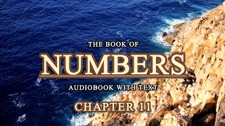 Israelites Struggles on Their Way to the Promised Land • Numbers Audio Bible • Holy Bible Audio [upl. by Luanne]