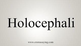 How To Say Holocephali [upl. by Eemla]