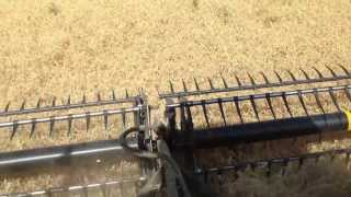 Palouse Brand Pea Harvest from the combine seat [upl. by Llednav198]