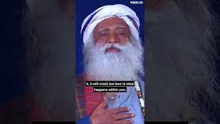 What is true love ❤sadhguru loveshorts [upl. by Zerk]