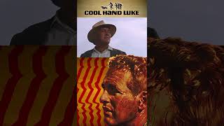 What Weve Got Here is Failure to Communicate • Cool Hand Luke 1967 [upl. by Bayer240]