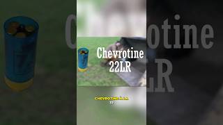 De la chevrotine avec de la 22lr [upl. by Nairde728]