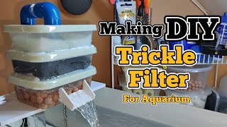 DIY Trickle Filter  DIY Aquarium Top Filter  Making Aquarium Filter at Home [upl. by Nannoc859]