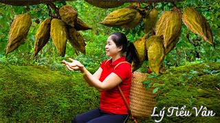 How to harvest Rhodomyrtus tomentosa Berries amp Selling  Harvesting amp Cooking  Daily Life [upl. by Iliram]