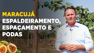 PRODUÇÃO DE MARACUJÁ ESPALDEIRAMENTO ESPAÇAMENTO E PODAS [upl. by Ramoj834]