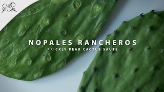 Delicious Easy Nopales Recipe Nopales Rancheros [upl. by Afton]