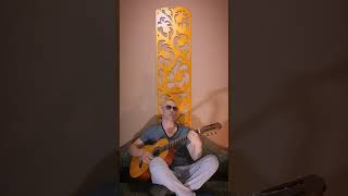 Robbie Williams  Advertising Space  Acoustic Cover [upl. by Curkell264]