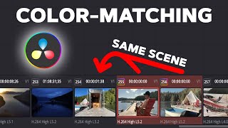 Colormatching in DaVinci Resolve 19  Match clips from the same scene [upl. by Eppesuig]