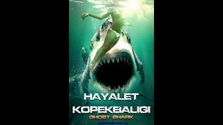 18 KÖPEK BALIĞI DEHŞETİ AKSİYON TÜRKÇE 2019 [upl. by Feerahs]