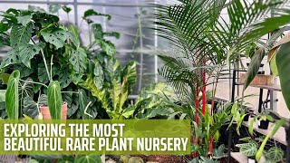 Rare Tropical Plant Nursery Tour  Aroid Greenhouses [upl. by Aikym]