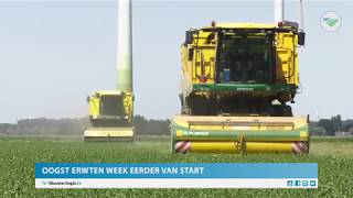 TV Waterschap beraadt zich op aanpak droogte [upl. by Uund679]