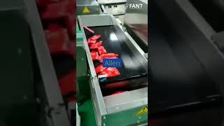 Sticks Sachets Auto Counting Bagging amp Cartoning Machine System shorts [upl. by Orelu]