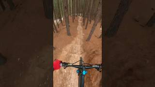 Knysna MTB Trails  GoPro Hero 7 Black [upl. by Nochur481]