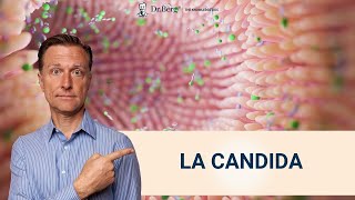 3 pasos para liberarte de La Candida para siempre Dr Eric Berg Español [upl. by Aicenet801]