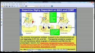 Treating Methylation Disorders  COMT and MAO [upl. by Iny]