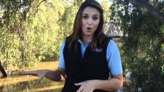 OnLocation Blog  Flooding in Wagga Wagga  Part 2 [upl. by Vaish]