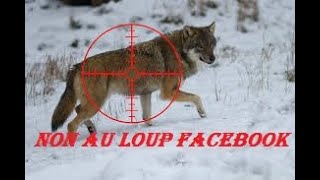 Tuer un loup nest pas toujours un crime [upl. by Althee]